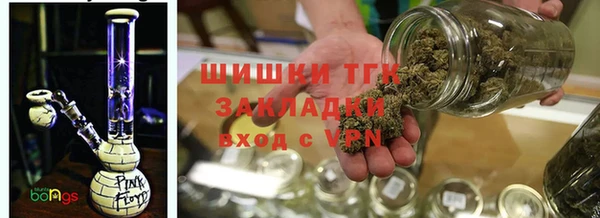 стаф Осинники