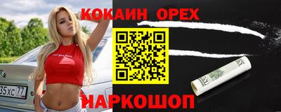 молекула духа Будённовск