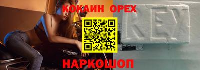 молекула духа Будённовск