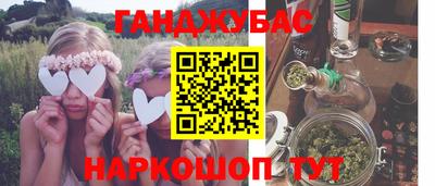молекула духа Будённовск