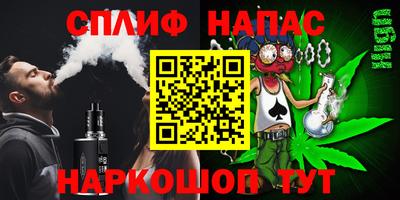 молекула духа Будённовск