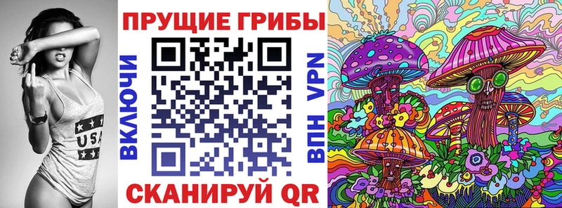 Галлюциногенные грибы Psilocybe блэк спрут ССЫЛКА Иркутск цены