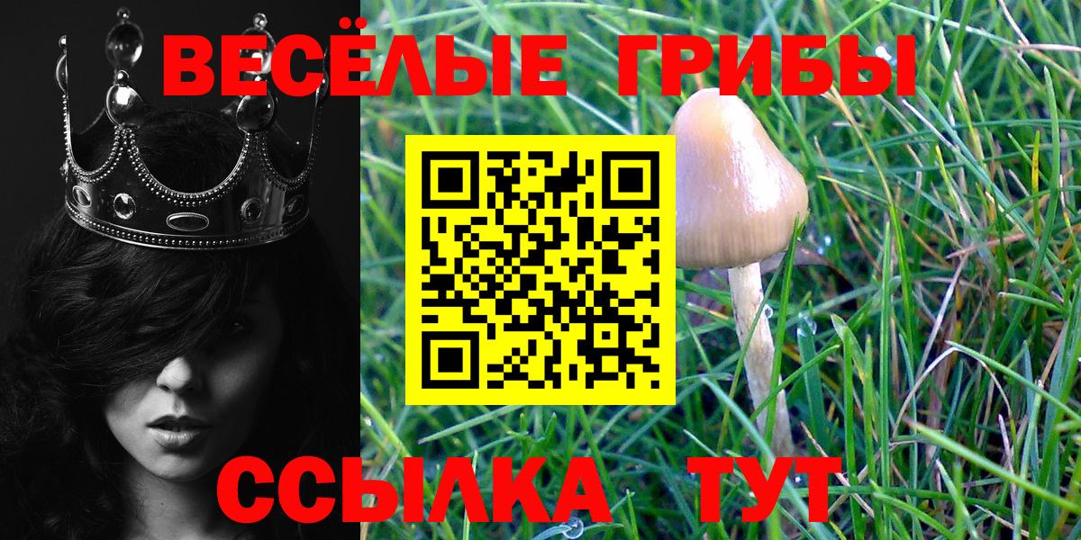 Иркутск  Псилоцибиновые грибы Magic Shrooms  Вход с VPN 
