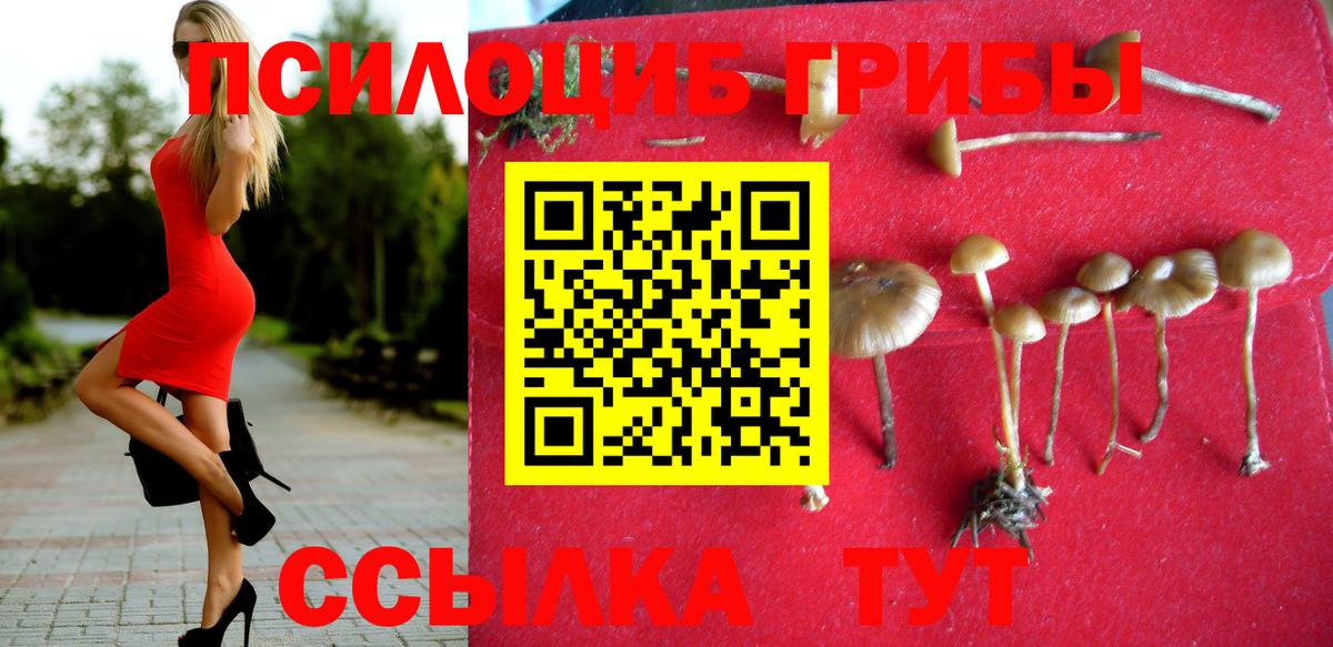 Псилоцибиновые грибы GOLDEN TEACHER Иркутск