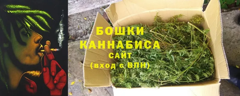 закладка  Иркутск  Бошки Шишки планчик 